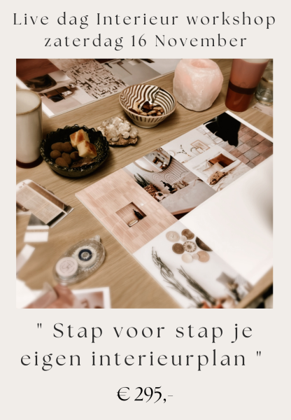 Live dag Interieur workshop " Stap voor stap je eigen interieurplan " zaterdag 16 November 2024